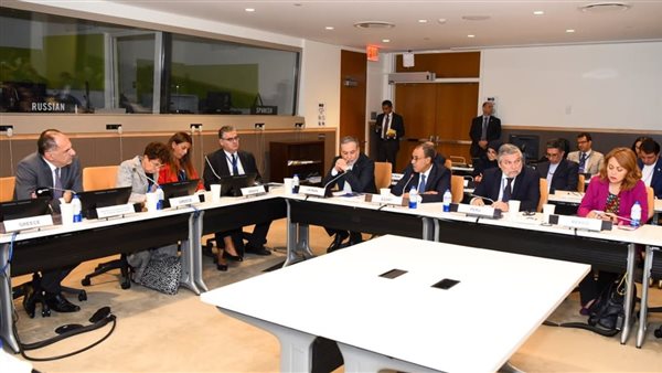 وزير الخارجية يشارك