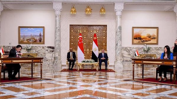 الدكتورة رانيا المشاط