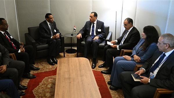 رئيس الوزراء يلتقي