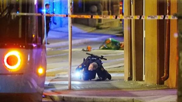 الشرطة النرويجية