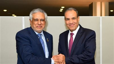 وزير الخارجية يبحث مع نظيره الباكستاني التطورات في غزة