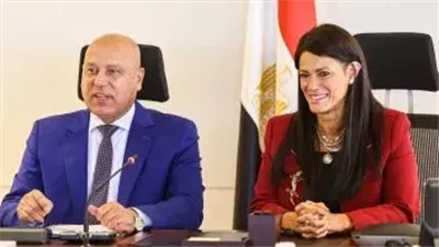 بمنحة قيمتها 10 ملايين دولار.. تعاون بين مصر وكوريا الجنوبية لتطوير تكنولوجيا صيانة السيارات الخضراء