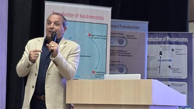 محافظ بورسعيد: الاستثمار في الشباب ركيزة لبناء مستقبل الوطن