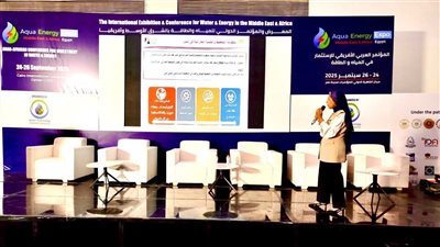 مها فهيم: رؤية مصر 2030 تضع الإنسان والتنمية المستدامة في قلب عملية التخطيط العمراني