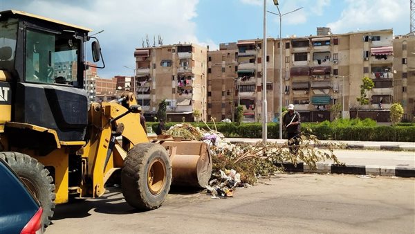 الجهود التنفيذية