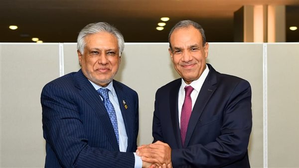 وزير الخارجية يبحث