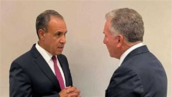 بدر عبد العاطي والمبعوث