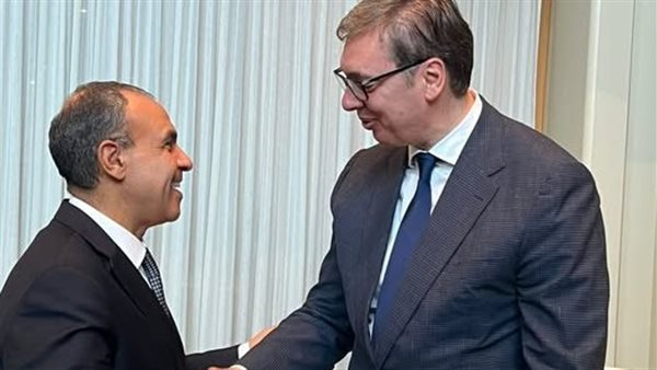 وزير الخارجية يلتقي