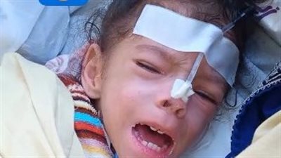 أب يستغيث لعلاج طفلته بالإسكندرية: بنتي وُلدت بوزن 800 جرام وتواجه الموت بسبب الإهمال الطبي