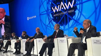 وزير الكهرباء: من حق الشعوب أن تجني ثمار التقدم العلمي.. والاستخدامات السلمية للطاقة الذرية حق أصيل لكل دولة