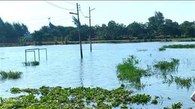 الطلاب بتروح المدارس بالمراكب.. أهالي جزيرة داود بالمنوفية يستغيثون بعد غرق الطريق الرئيسي في مياه الفيضان
