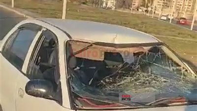 بعد مُهلة المحافظ.. عجل يهشم سيارة مواطن ببورسعيد ويكاد يقتل أسرته | صور وفيديو 