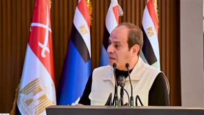 الرئيس السيسي: استهداف السفارات المصرية في الخارج كان غرضه توجيه رسالة سلبية للرأي العام في مصر