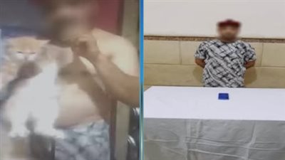 ضبط متهم يزعم قدرته على علاج مرض السكري بأذى الحيوانات الأليفة بالإسماعيلية