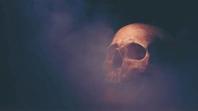 عمرها مليون سنة.. جمجمة تكشف معلومات جديدة حول التطور البشري 