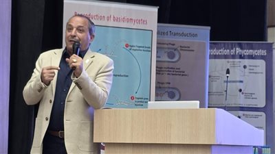 بورسعيد × 24 ساعة | حملات نظافة وصرف صحي وتشميع مخازن فرزة.. وضبط مخالفات إشغالات وتموين