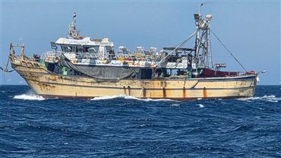 بسبب صيد الجر والشانشولا.. ضبط مراكب صيد تدمر الشعاب المرجانية والثروة السمكية بالغردقة