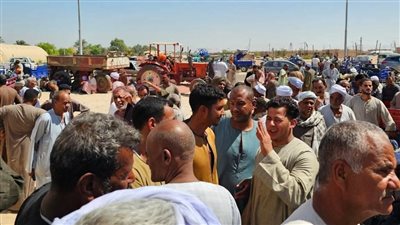 المئات ينتظرون الاستلام.. وصول 8000 جوال أسمدة لمزارعي المراشدة في قنا