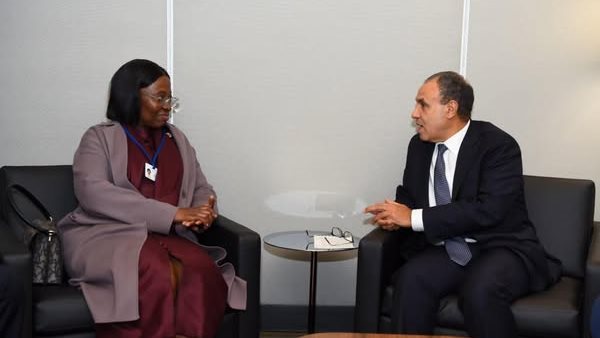 وزير الخارجية يلتقي