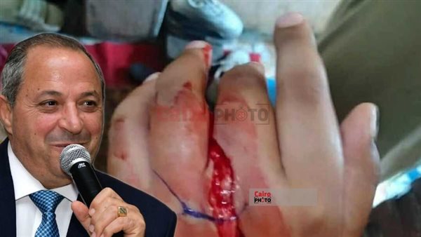 اللواء محب حبشي محافظ