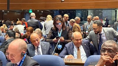 مصر تفوز في انتخابات مجلس منظمة الطيران المدني الدولي عن الفئة الثانية | صور 