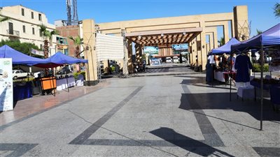 ضمن أسبوع الاحتفال باليوم العالمي للسياحة.. محافظ أسوان: تنظيم سلسلة معارض منصة 