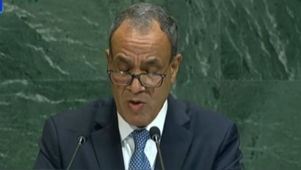 وزير الخارجية 