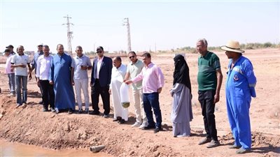 بدء تنفيذ مشروع الاستزراع السمكي في الوادي الجديد