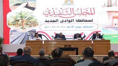 إنشاء مركز متخصص لعلاج الإدمان والاستعداد للعيد القومي.. أبرز قرارات المجلس التنفيذي في الوادي الجديد