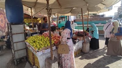 الطماطم بـ17.5 والبطاطس بـ5 جنيهات.. منافذ سلع مخفضة بالوادي الجديد 