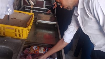 إعدام 670 كيلو أسماك غير صالحة للاستهلاك خلال حملة تموينية بالمنوفية 