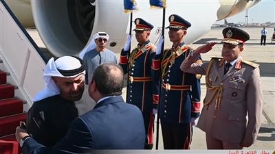 تطور كبير.. محمد بن زايد يشيد بمناخ الاستثمار في مصر