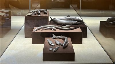 بريق الفضة.. معرض مؤقت بمتحف شرم الشيخ يستعرض أكثر من 80 قطعة أثرية نادرة | صور 