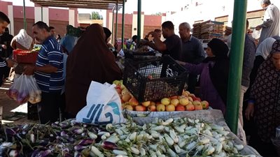 تخفيضات 30% على السلع والخضراوات والفاكهة بالوادي الجديد