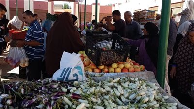 إطلاق سلسلة أسواق شعبية للسلع المخفضة ومشروعات خدمية في الوادي الجديد