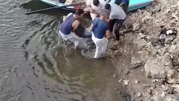 لحظة انتشال جثمان