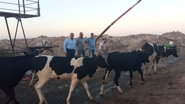 مصادرة الحيوانات