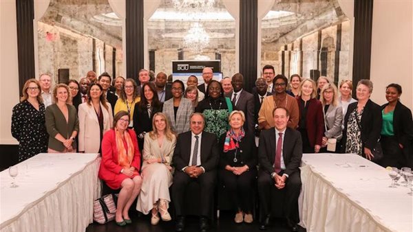 الدكتور محمد فوزي،