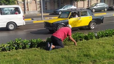حي وسط بالإسكندرية يرفع كفاءة الحدائق ويعيد حركة السير بالشوارع عقب إزالة الإشغالات