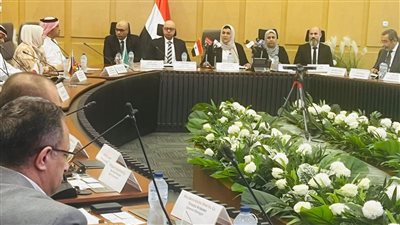 وزارة الاستثمار تحقق في الإجراءات الوقائية على واردات مسطحات الصلب المدرفل على الساخن