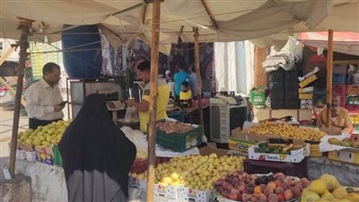 فتح منافذ ثابتة ومتنقلة لبيع السلع الغذائية بأسعار مخفضة في الوادي الجديد