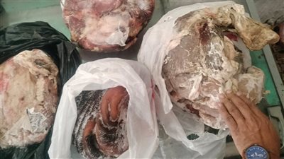 تموين كفر الشيخ تعلن ضبط كميات من اللحوم والدقيق والمعسل والسجائر مجهولة المصدر