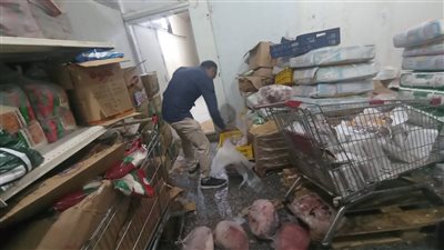 قبل بيعها للمواطنين.. ضبط 5700 كيلو لحوم ودواجن غير صالحة للاستهلاك الآدمي بمدينة العبور