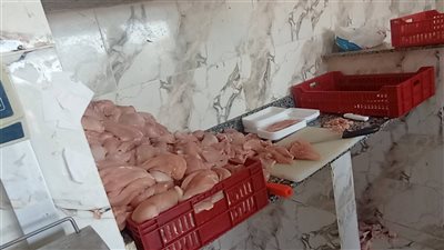 تموين القليوبية تضبط 3 أطنان دواجن مجهولة المصدر 