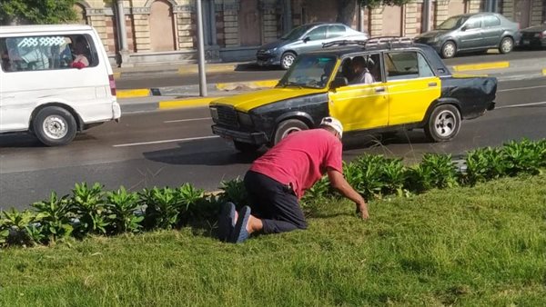 رفع كفاءة الحدائق