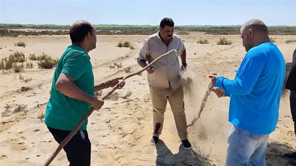 جانب من الحملات