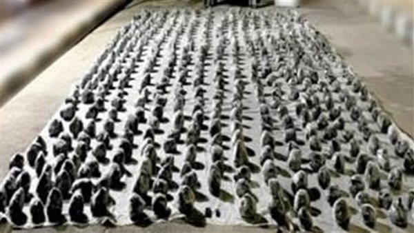 مخدرات - أرشيفية