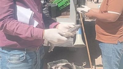 ضبط سيارة محملة بأسماك فاسدة قبل تداولها في الأسواق بسوهاج