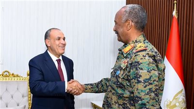 بتوجيهات من الرئيس السيسي.. وزير الخارجية يلتقي عبد الفتاح البرهان رئيس مجلس السيادة السوداني