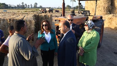 وزيرة التنمية المحلية توجه بسرعة جمع قش الأرز لتيسير الاستفادة منه والقضاء على ظاهرة حرقه 